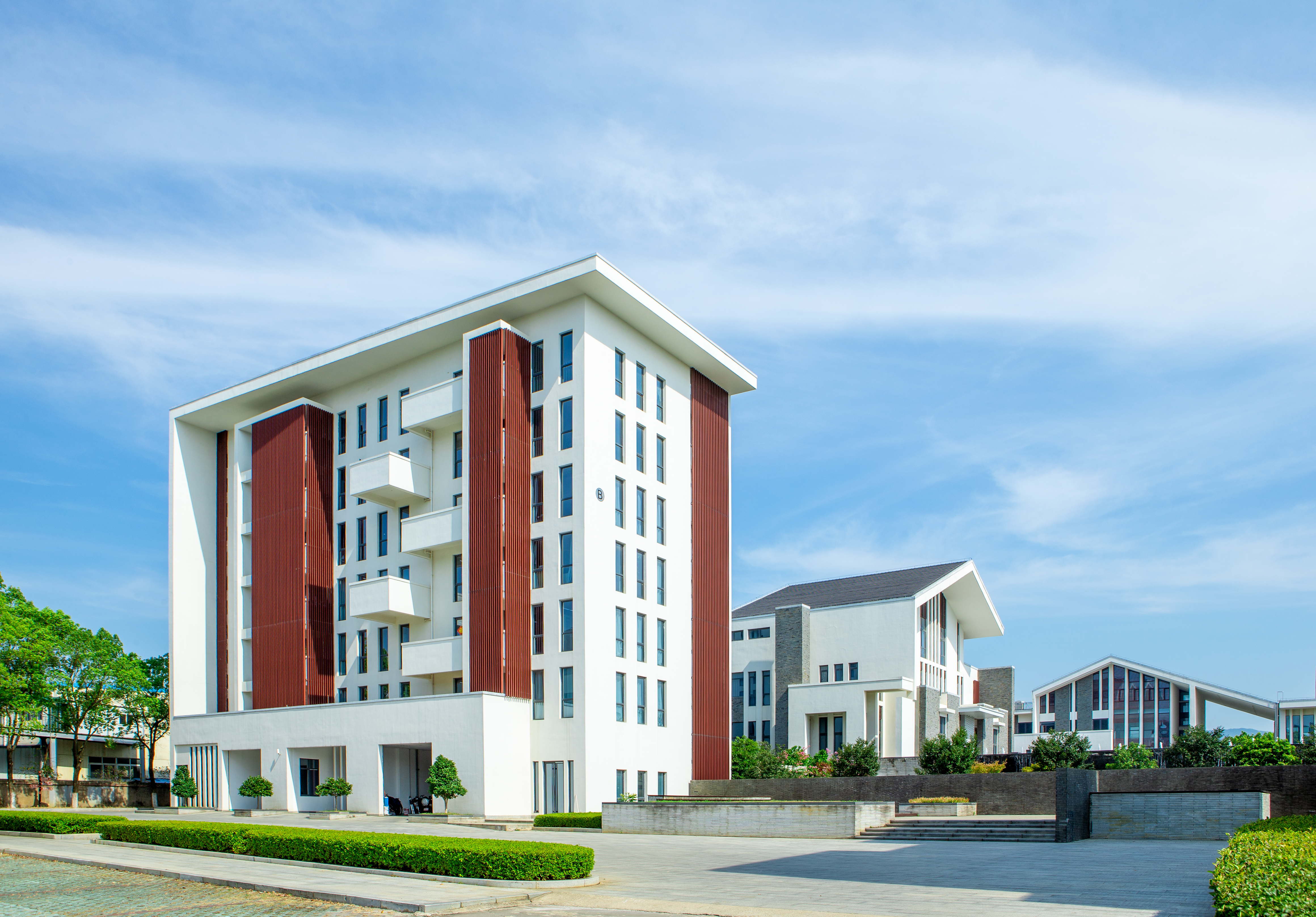 我的“利来官方网w66利来”之路